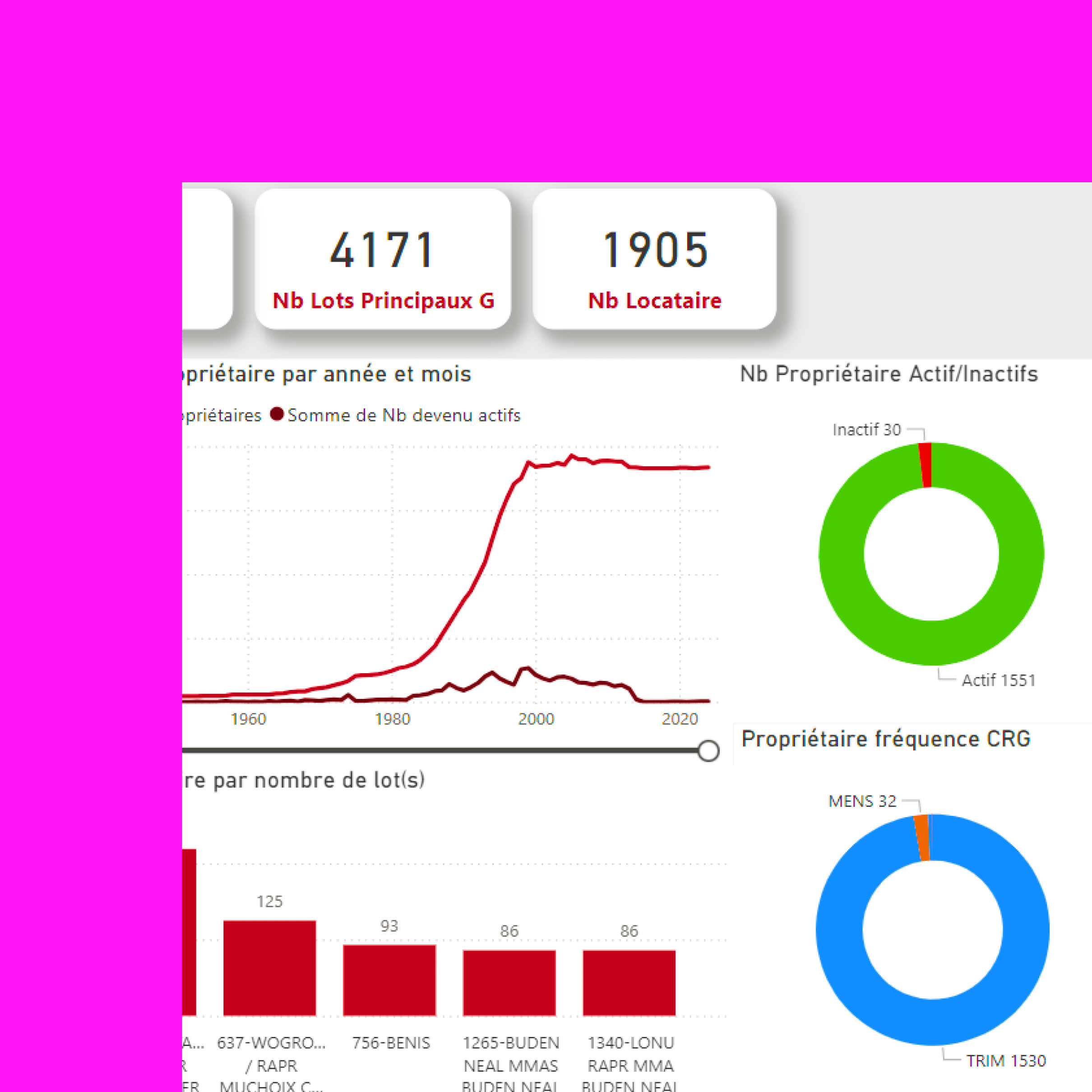 Capture d'écran du module de business intelligence avec de nombreux graphiques d'analyse de données