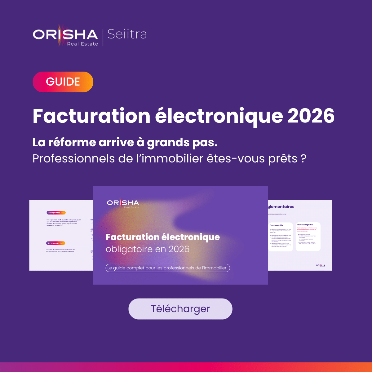 guide facture électronique professionnels de l'immobilier
