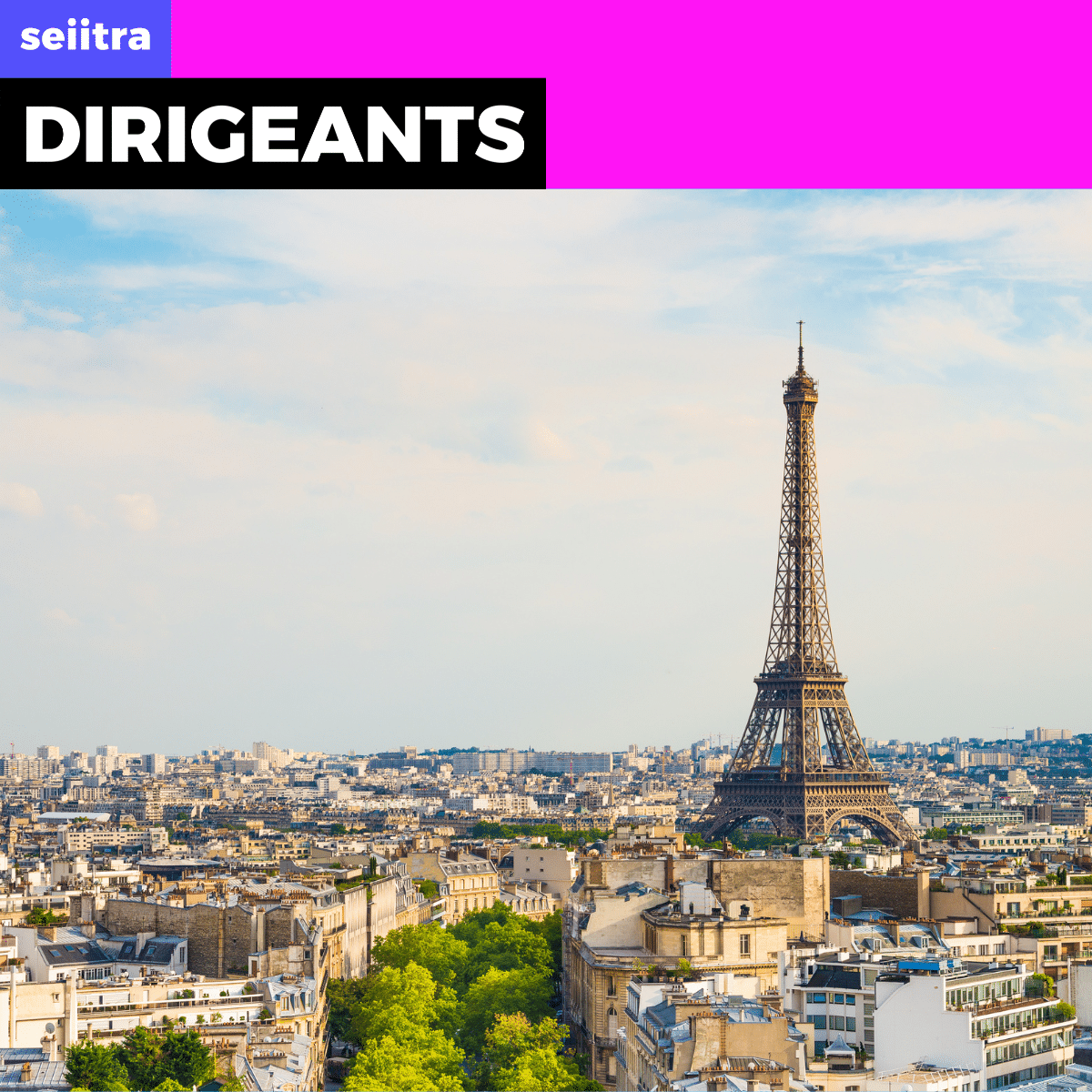 journée dirigeants Seiitra Paris